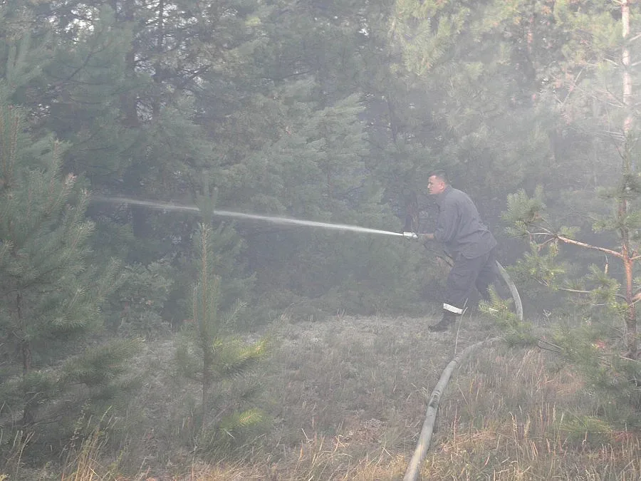 27 декара борова гора са изгорели в ардинското село Любино