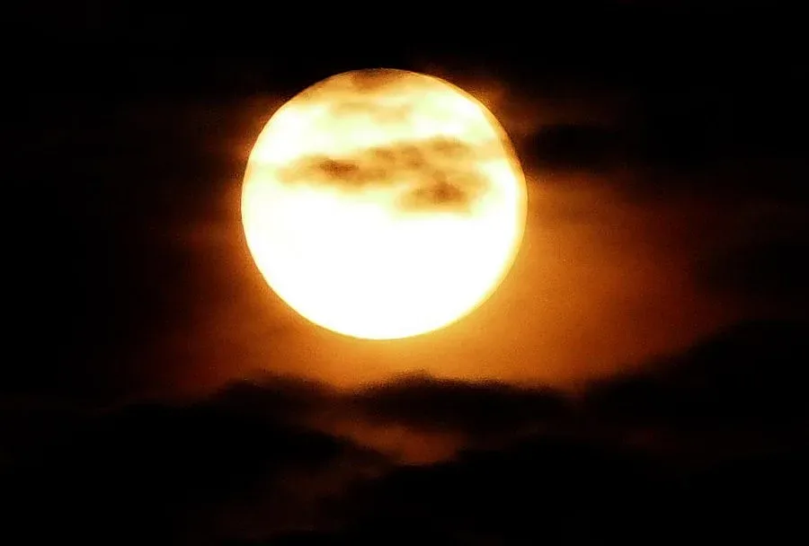 Лунно зрелище беляза нощта (ВИДЕО)