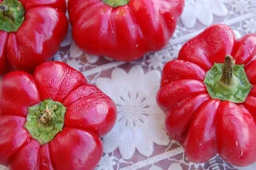 Възраждат шабленската камба