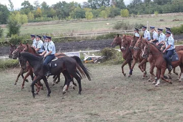 Хиляди в Банкя за коне шампиони