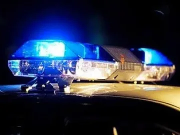 Хванаха 55 чужденци без документи