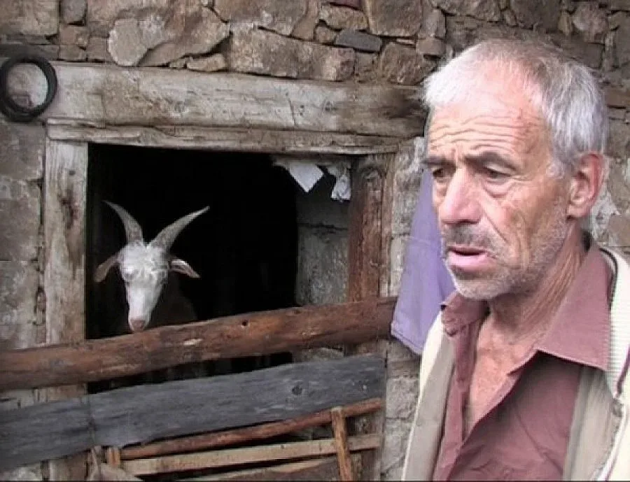 Отстрелват мечката, нападнала човек в Девинско