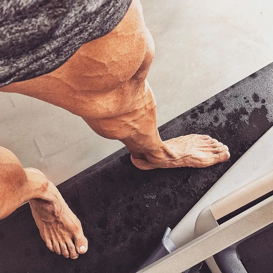 6 урока за трансформация на прасците (ВИДЕО)