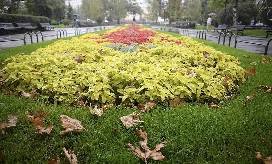 Настъпва астрономическата есен