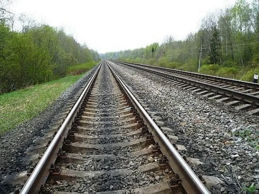 Моторист се блъсна в товарен влак