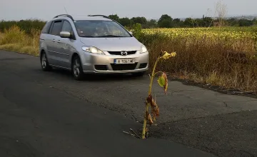 Ями като след война откъсват селата в община Камено