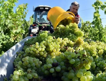 10 млн. лв. кредити на фермери