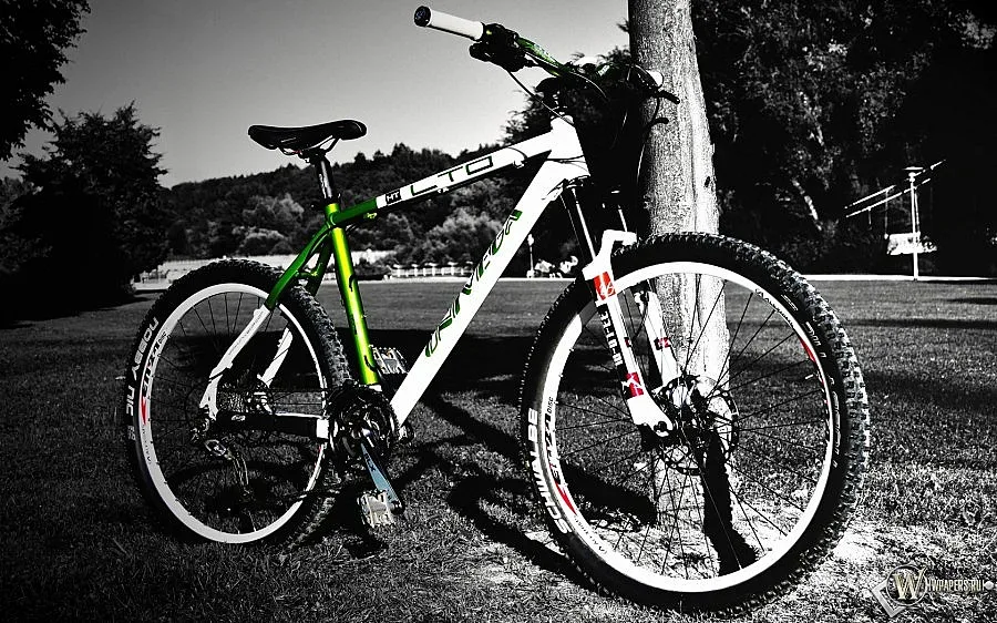 Николов: Бургас е най-велосипедният град