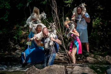 Натурални vs. напудрени - кой ще надделее