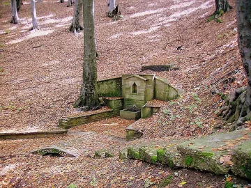 Сливналии бранят песента "Драгиева чешма"