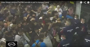 В Унгария: Храна за бежанци като за животни (ВИДЕО)