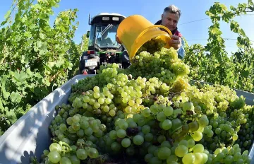 Изплащат помощите за фермери от 16 октомври