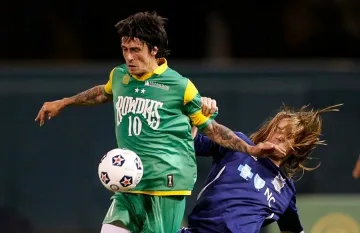 Метъла пак  мачка в САЩ