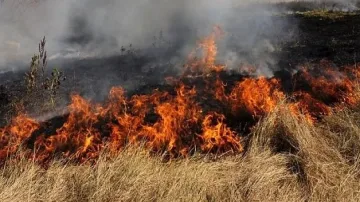 Пожар в Македония стресна жители на наши села