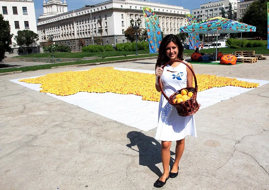 Жълт код за бурен вятър в 11 области на страната