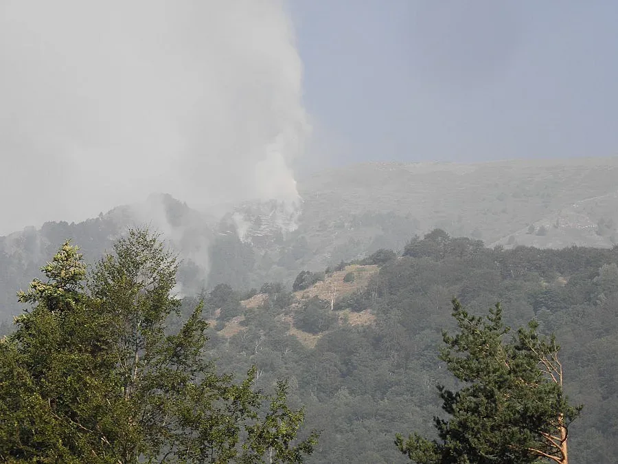 Пожар гори до село Тешово