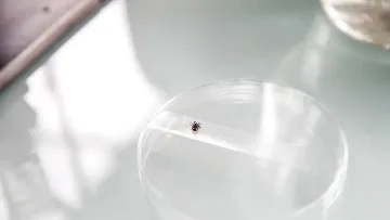 Безпрецедентно! Нобелови лауреати бият тревога - нова заплаха за човечеството