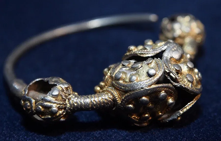 Ловец откри съкровище при хайка за глигани