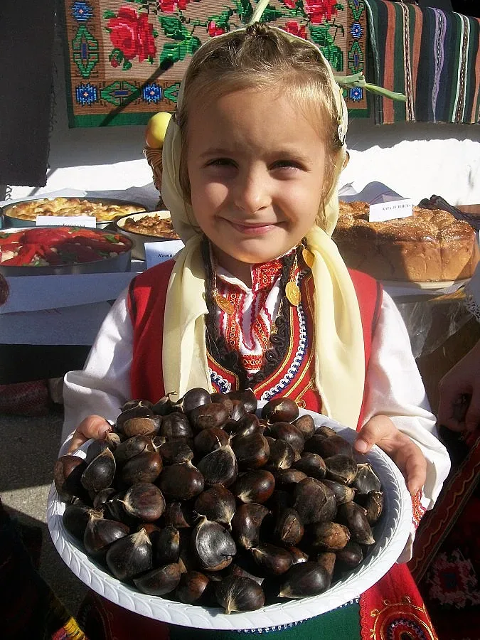 Кестени водят чужденци в Брежани