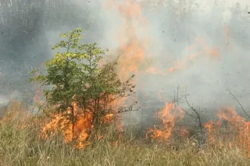 Горски пожар над село Фролош