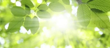 Топло и слънчево