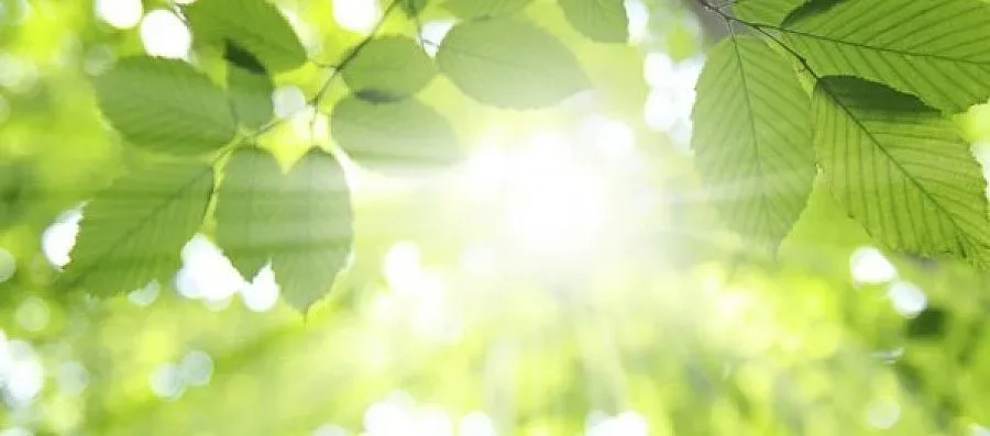 Топло и слънчево