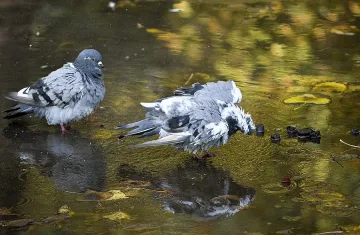 Жега през септември, живакът удря 38 градуса