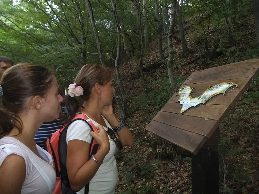 Странджа разкрива тайнствения свят на прилепите