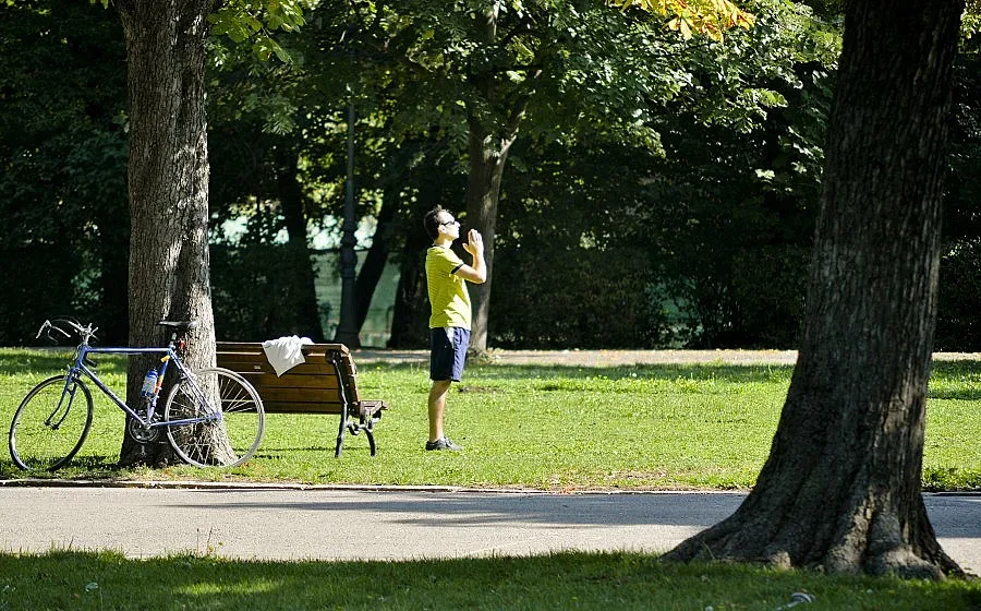 Поредна порция слънце