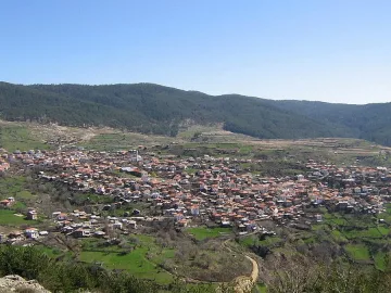 Селяни живеят в гората, берат билки и гъби