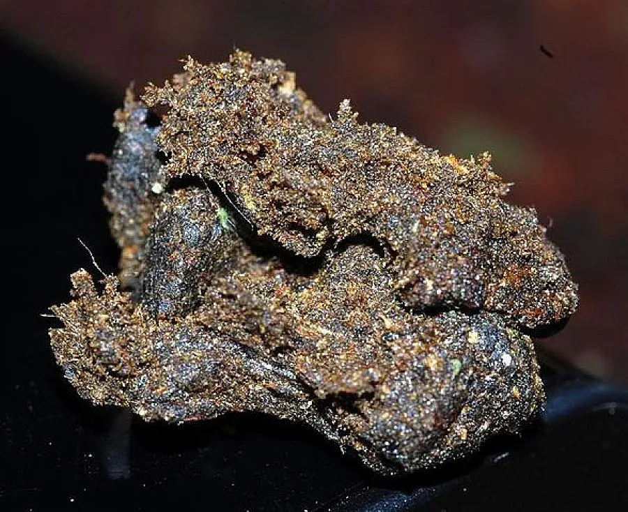 Русия блокира Wikipedia