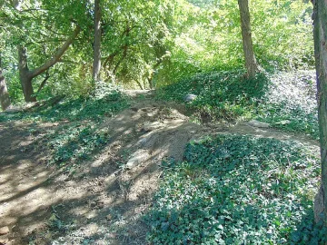 Намериха човешки кости в Цар Симеоновата градина в Пловдив