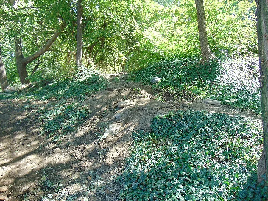 Намериха човешки кости в Цар Симеоновата градина в Пловдив