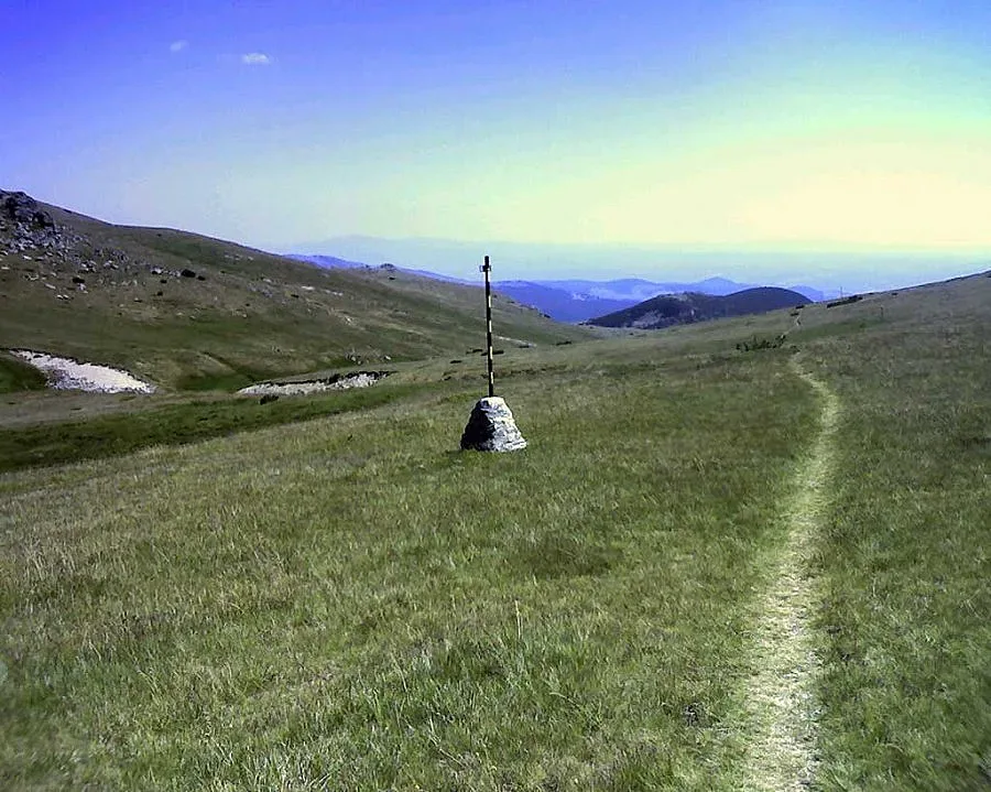 Над 250 души и 6 кучета търсят Ахмед в гората