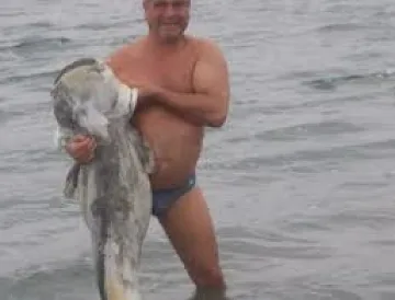 Скулптор извади  мъртъв сом от Дунав