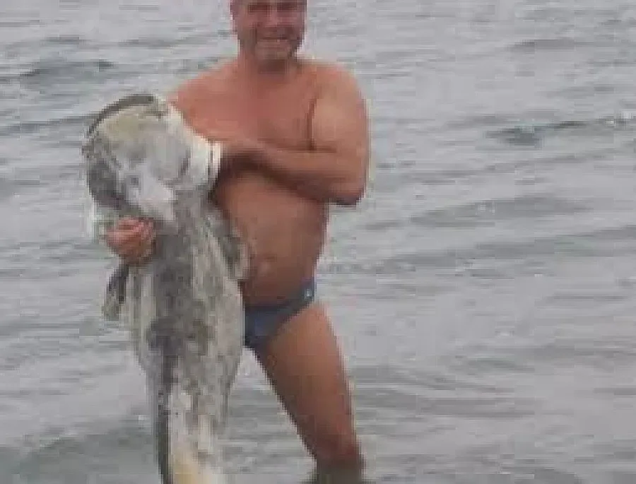 Скулптор извади  мъртъв сом от Дунав