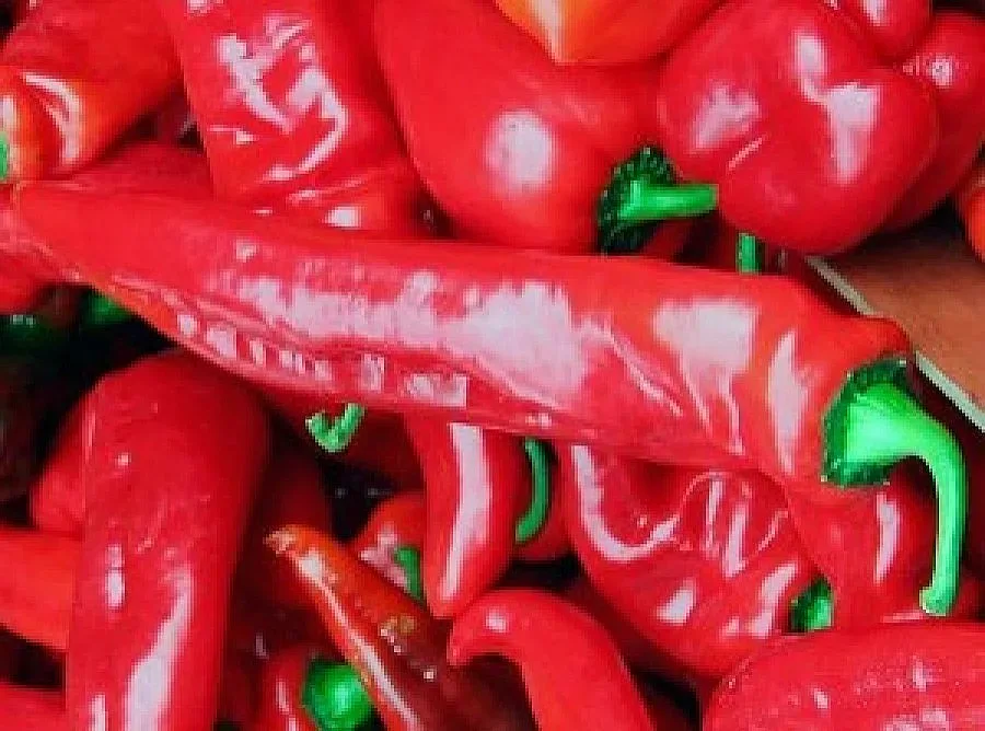 Чушката измества тютюна в гърменско село