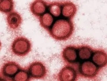 Масови проверки на мляко в Благоевград