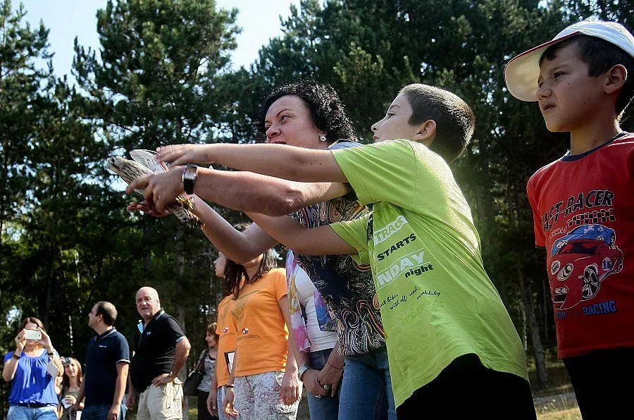 Василева пусна сокол в небето
