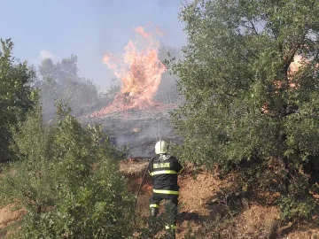 Цистерни на косъм от взрив в Тюленово заради пожар (ОБЗОР)