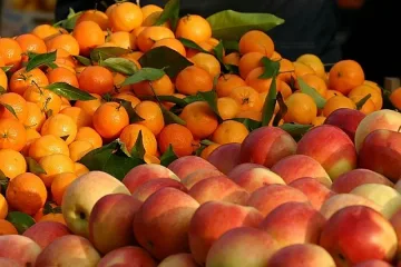 Фермерите доволни за "Училищен плод"