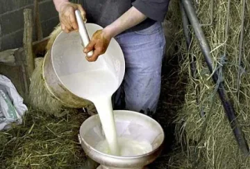 Млекопроизводителите протестират срещу Брюксел