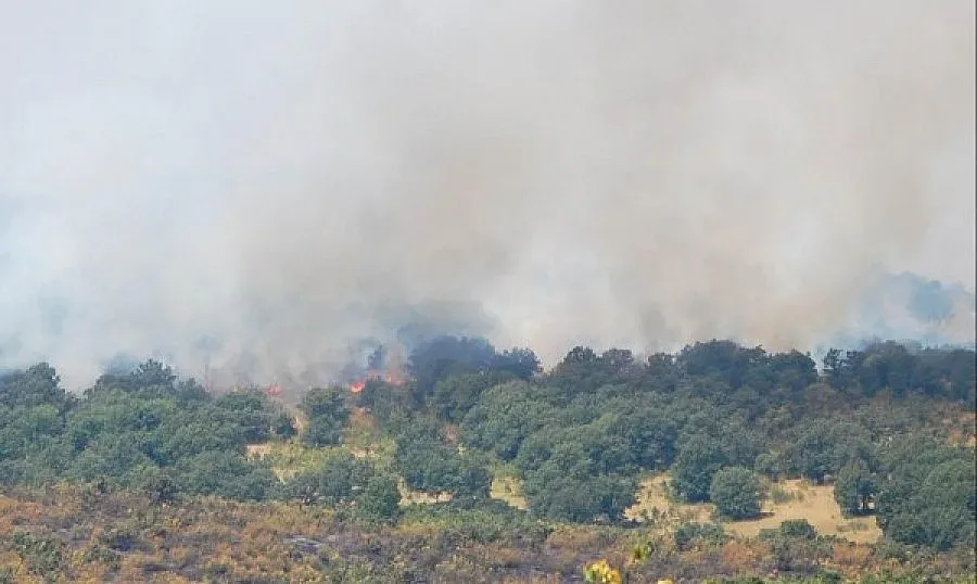 Хеликоптер ще гаси пожара над Брезник