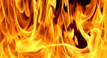 Овладяха пожара край Драгоман