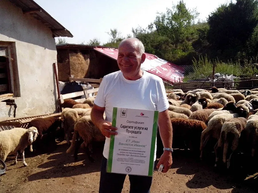 Бизнесът залесява гори във Врачанския Балкан