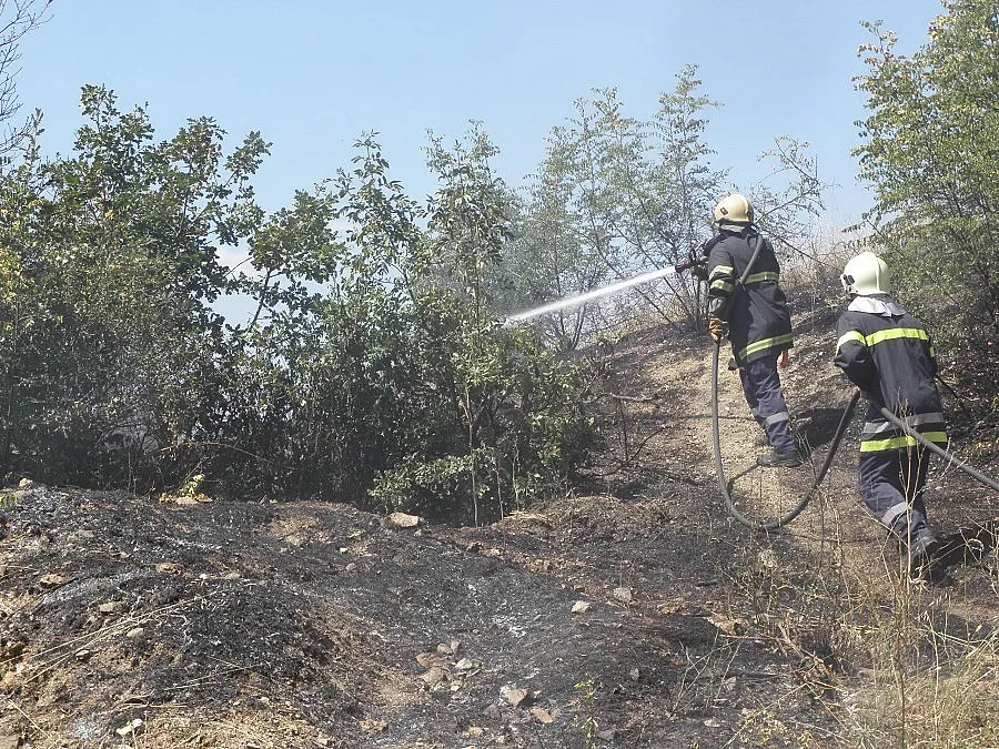 Пиян запали лозята на цял квартал