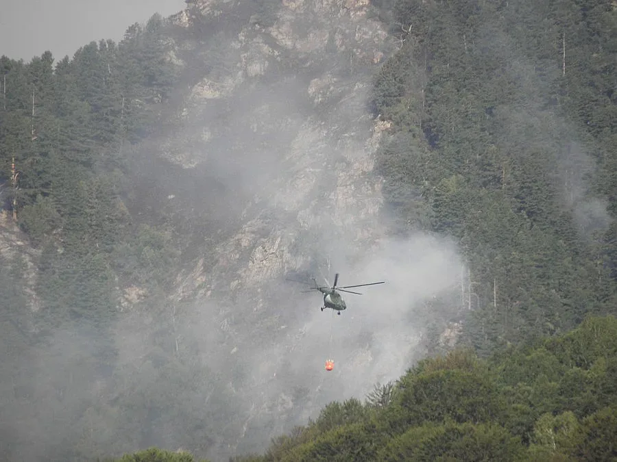 Потушиха пожара над село Бели Извор