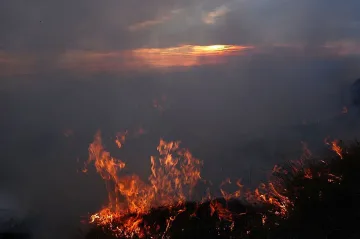 Червен код за пожари в Югоизточна България 