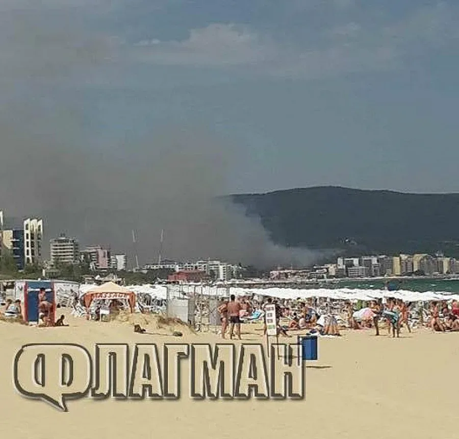 Пожарът до Сънито погълна 3 коня и кола (обновява се)