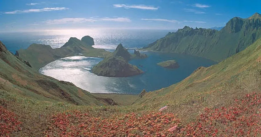 Учени откриха  500 нови  животински вида